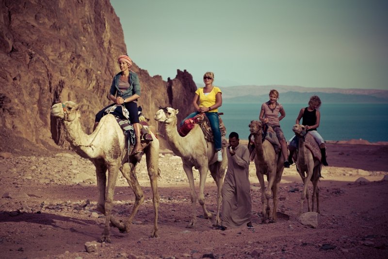 На верблюдах по пустыне