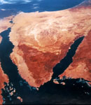 Синайский полуостров едет на Север