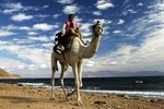 Большой верблюжий поход по Синаю