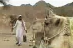 Бедуинская короткометражка